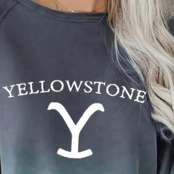 Gray Yellowstone Graphic Shirt Pullover Two Toned Ambre Sweat Shirt - Picture 3 of 6